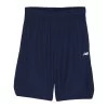 New Balance Kids Performance Honeycomb Mesh Shorts (Big Kids)